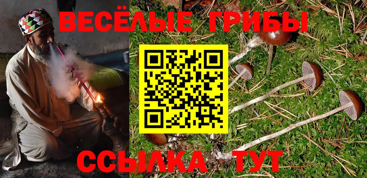 Зеленокумск  Галлюциногенные грибы Psilocybe  Вход с VPN  Псилоцибиновые грибы Psilocybine cubensis 